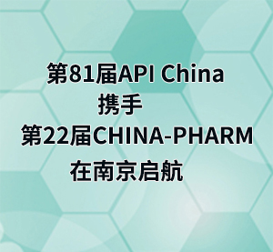 ?1届API China即将拉开序幕