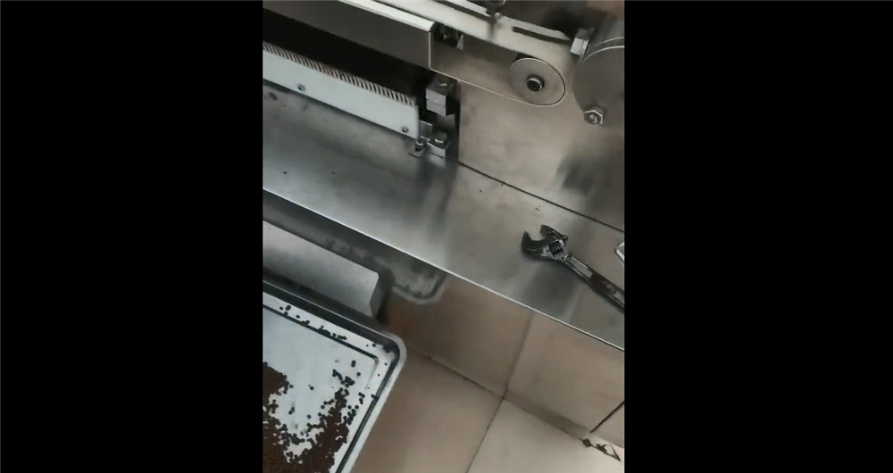 天水寶元：小型全自動水丸機制丸效果展示