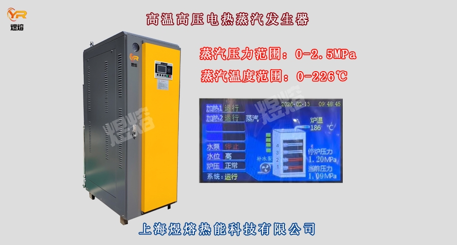 高溫高壓電熱蒸汽發生器