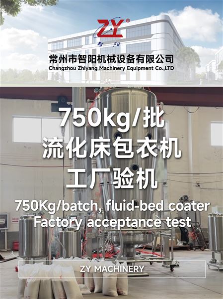 750KG一批流化床包衣機工廠驗機