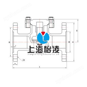 DH41F低溫法蘭止回閥圖紙