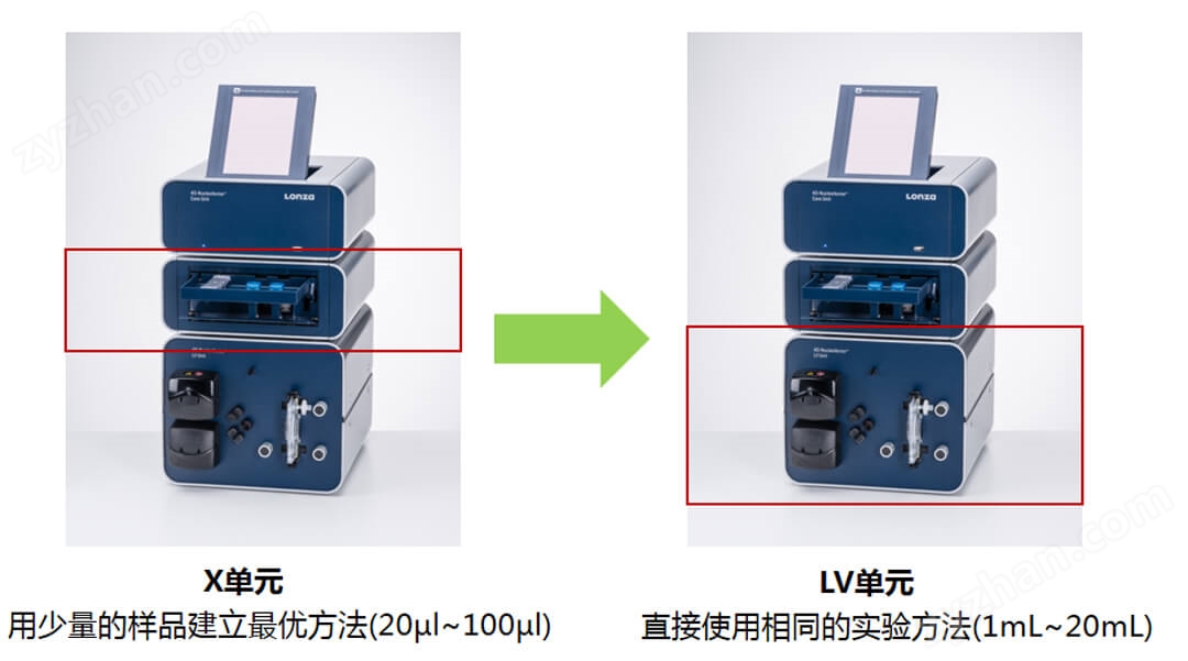 4d-nucleofector x單元轉(zhuǎn)染程序直接用于LV單元
