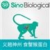 CD47食蟹猴重組蛋白圖片