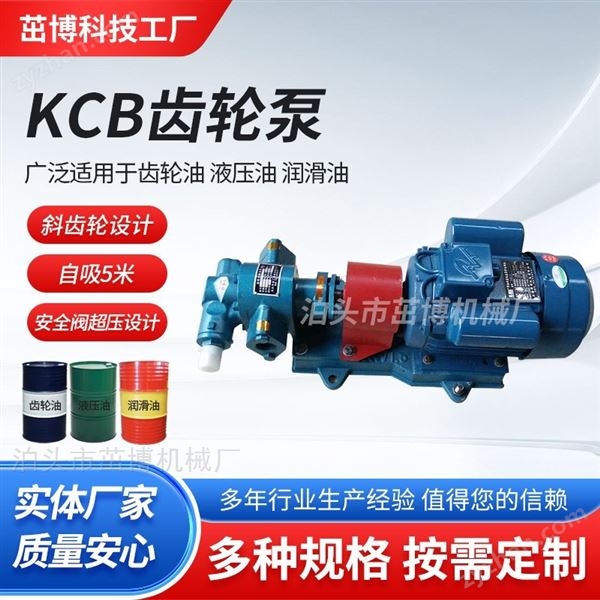 江蘇輸油KCB型齒輪泵、江西九江潤(rùn)滑齒輪泵圖片