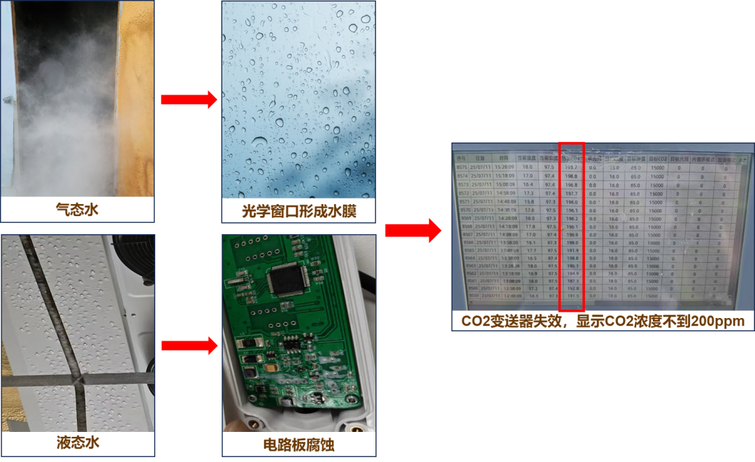 四方光电抗高湿红外CO₂变送器,让菌菇房CO₂监测不再“湿”败