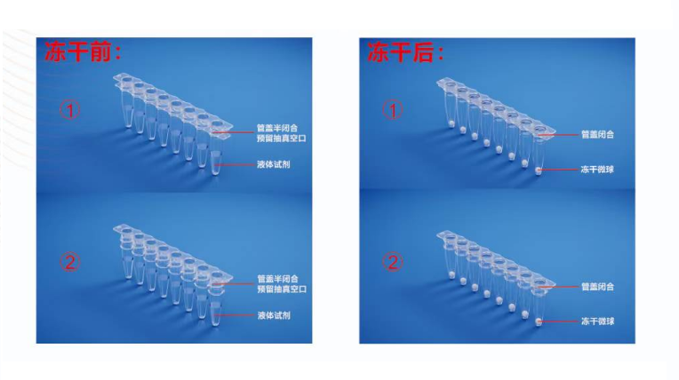 QQ截圖20250819164505 - 副本.png