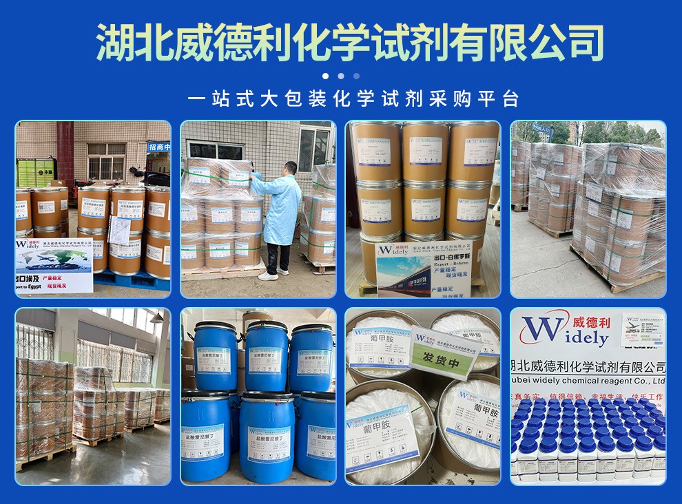 对二甲氨基吡啶的分子特性与基础定位