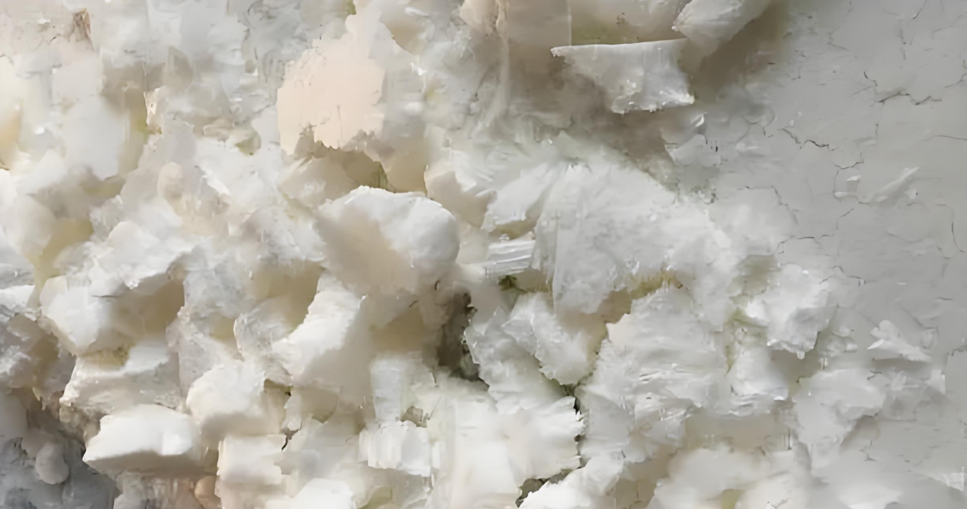 聚合材料冻干1.png 聚合材料冻干1.png