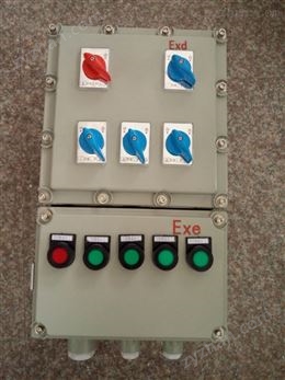 BXM53-12/K50防爆照明配電箱