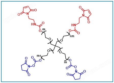 (Maleimide)2-4ARM-PEG-(NHS)2 異端四臂